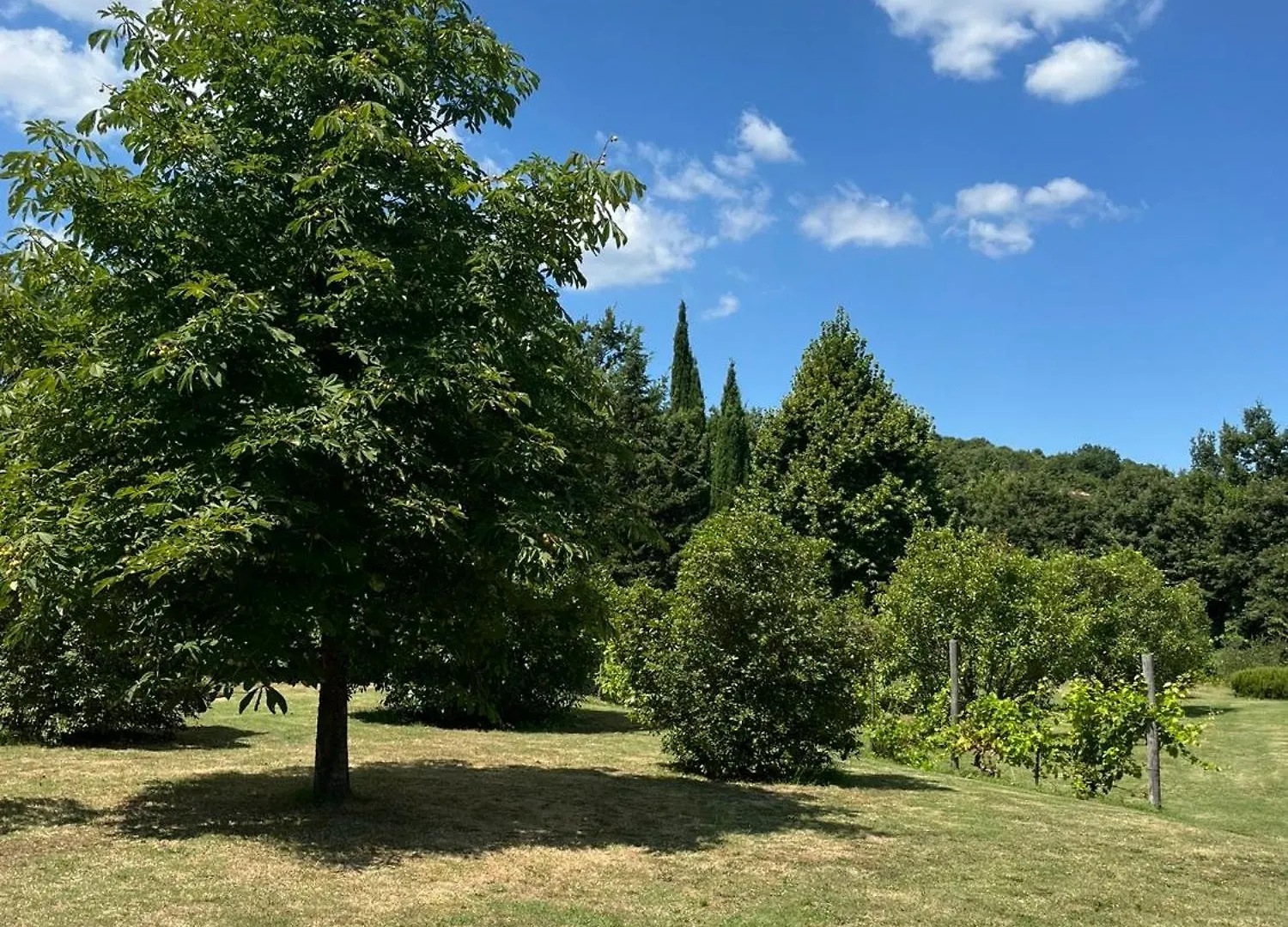 Charming Retreat In Tuscany Poggioni Italy