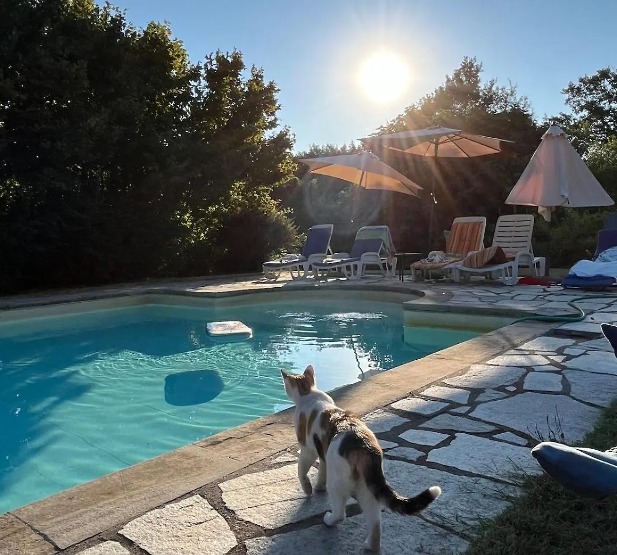 Charming Retreat In Tuscany Poggioni 0*,